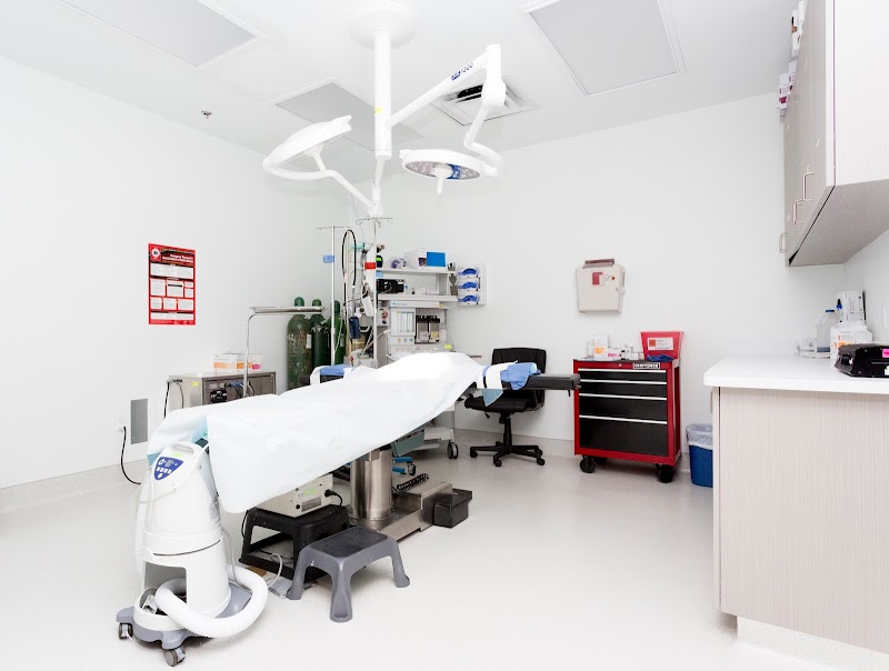 CG Cosmetic Surgery photo 2