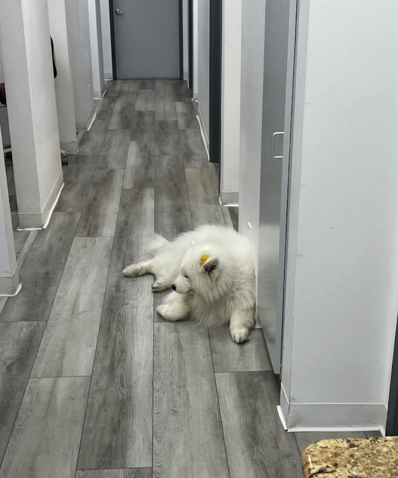 Smile L.A. Downtown Modern Dentistry photo 3