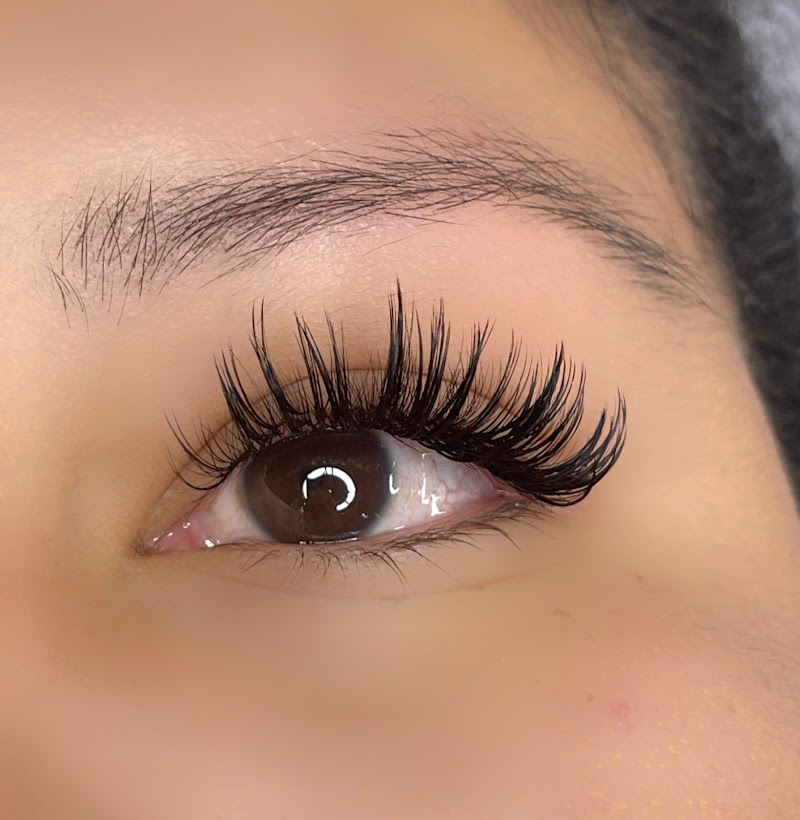 Tampa Lash And Brow | Microblading + Lash Extensions photo 2