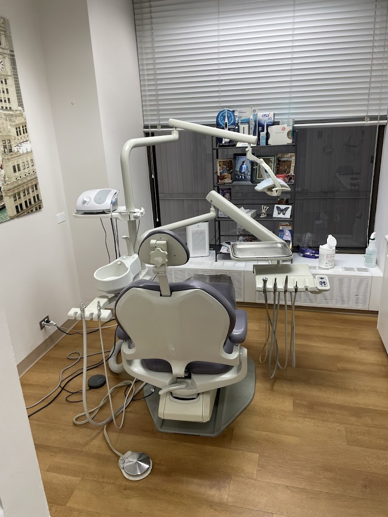 The Magnificent Smile photo 2