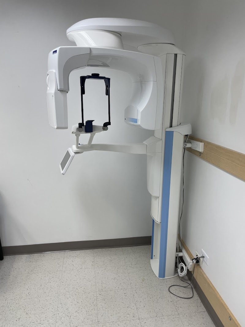 The Magnificent Smile photo 3