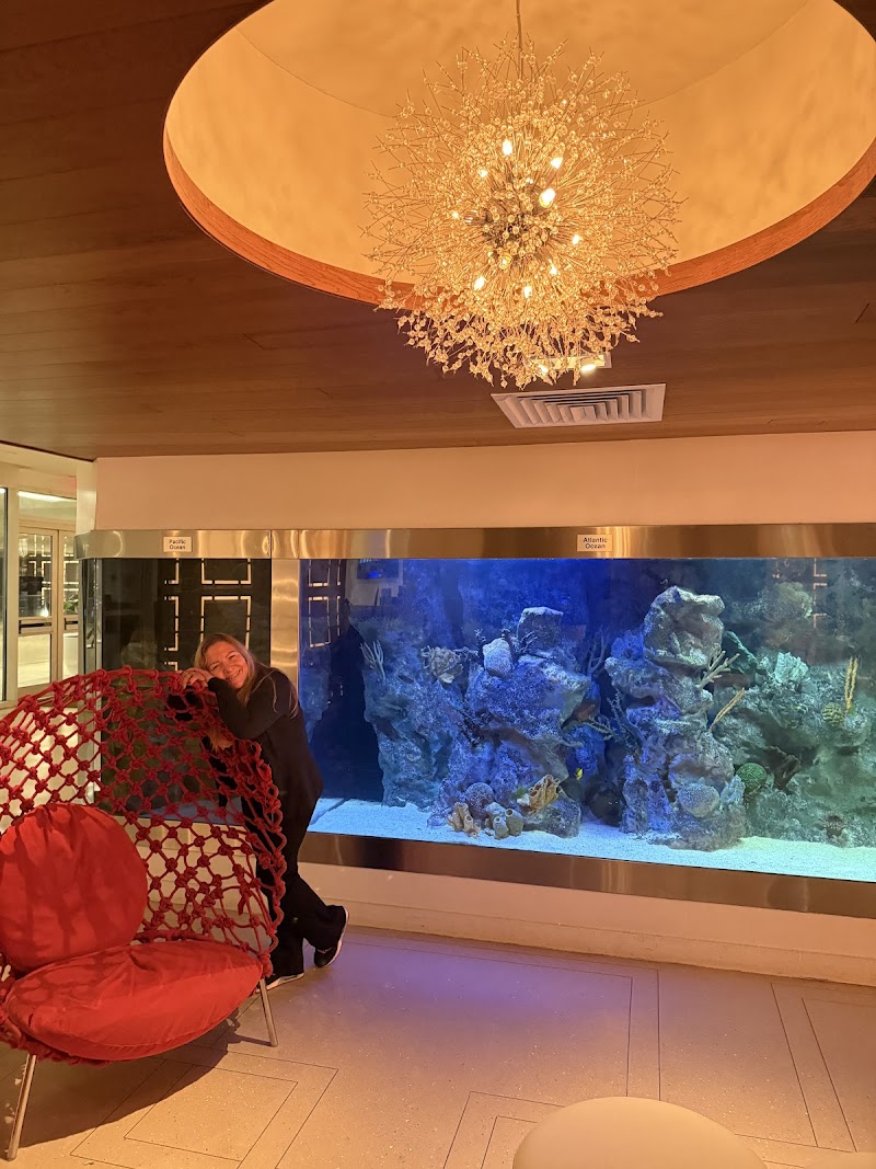 Velour Medical photo 3